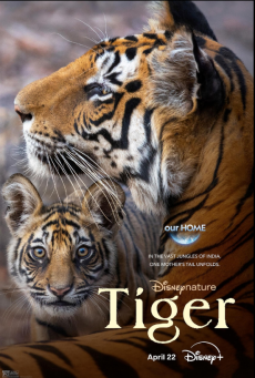 Tiger (2024) - ดูหนังออนไลน์