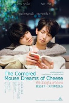 THE CORNERED MOUSE DREAMS OF CHEESE (2020) ให้รักฉันอยู่ในมุมหัวใจเธอ - ดูหนังออนไลน์