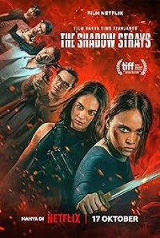 The Shadow Strays นักฆ่าเงาล่าทรชน (2024) - ดูหนังออนไลน์